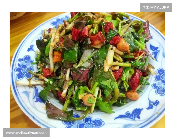 舌尖中国塔防攻略—舌尖中国菜谱:舌尖上的塔防盛宴:中国美食攻略大揭秘 舌尖中国塔防攻略—舌尖中国菜谱:舌尖上的塔防盛宴:中国美食攻略大揭秘