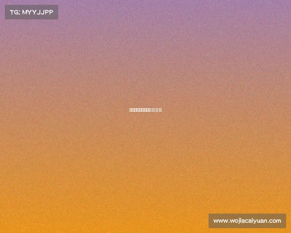 电子竞技战飞机—电 子 竞 技