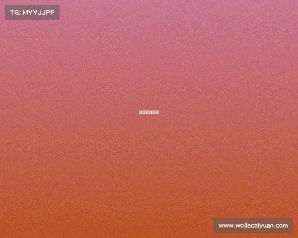 巅峰之上再铸新章